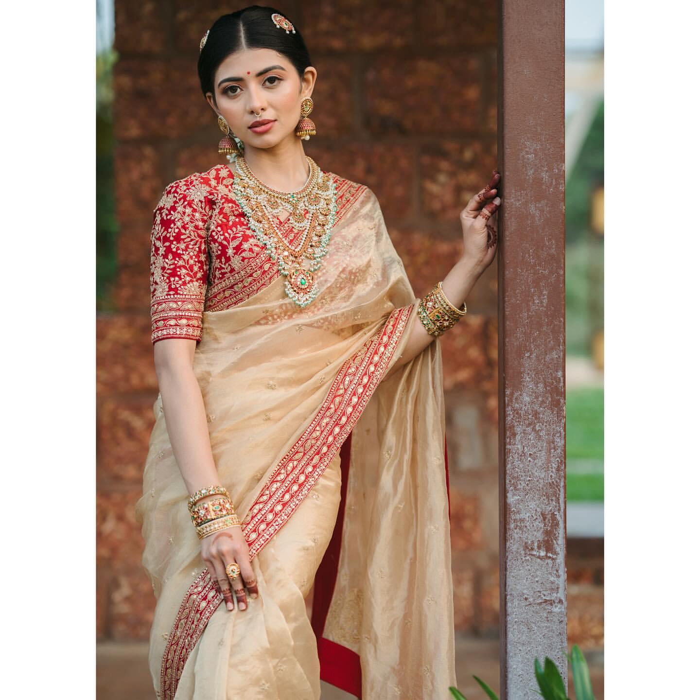 Heavy Organza Saree with Sequin Border Banglori Silk Blouse