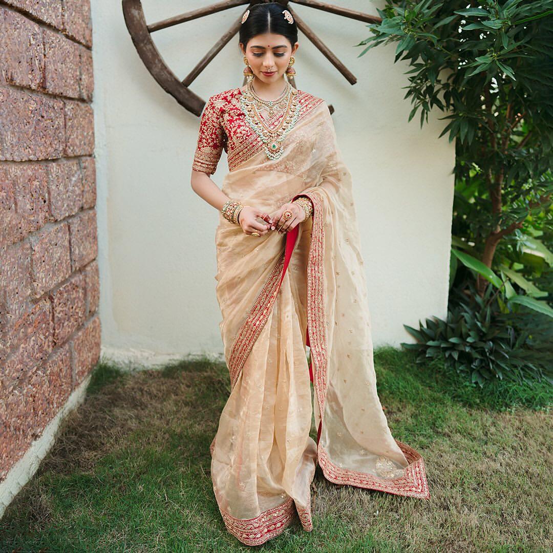 Heavy Organza Saree with Sequin Border Banglori Silk Blouse