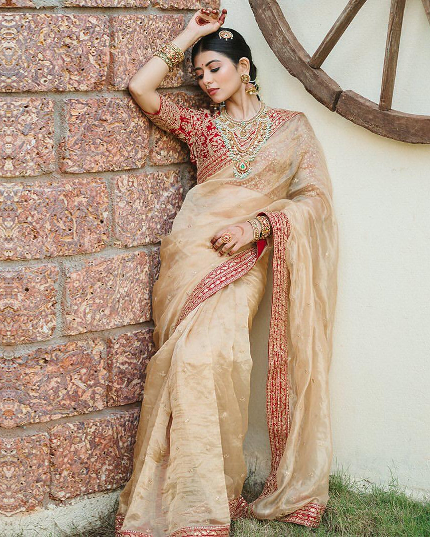 Heavy Organza Saree with Sequin Border Banglori Silk Blouse