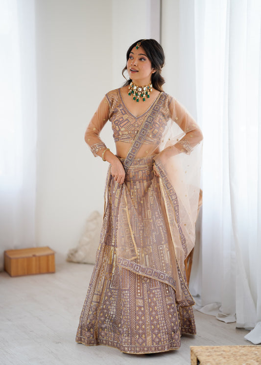 Soft Net Lehenga with Designer Look Blouse