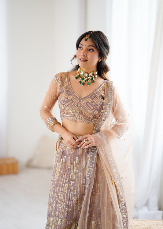 Soft Net Lehenga with Designer Look Blouse