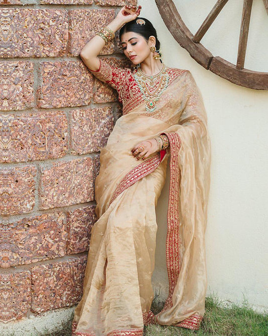 Heavy Organza Saree with Sequin Border Banglori Silk Blouse