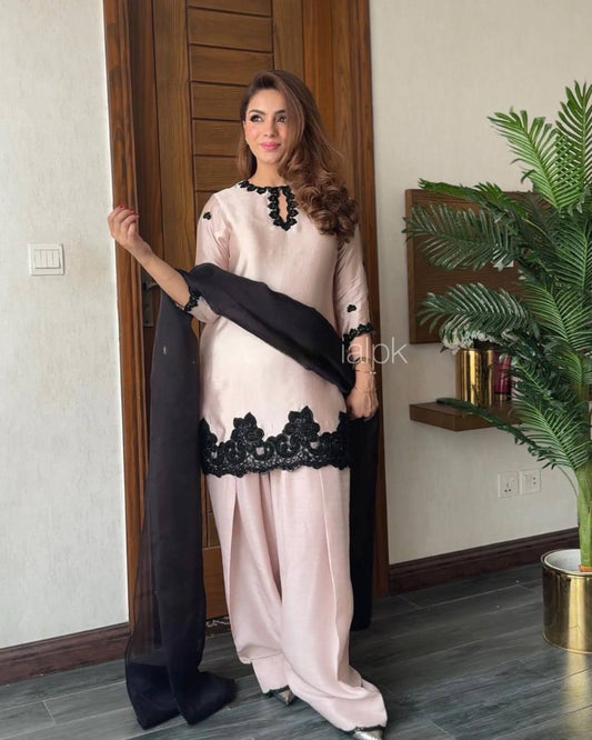 Straight Solid Embroidery work Salwar Kameez